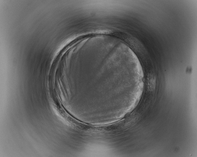 X0000115100726200911171240