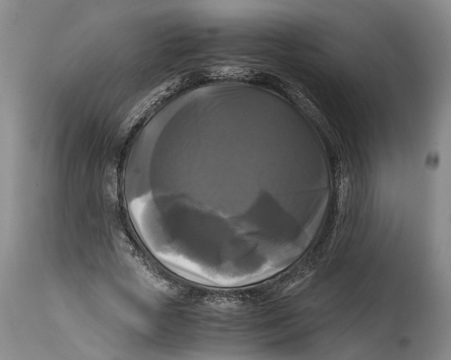 X0000115100729200911171240