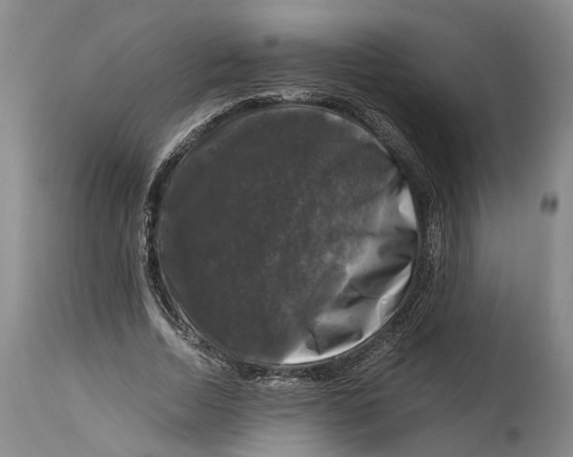 X0000115100730200911171240