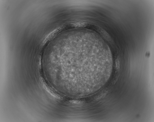 X0000115100733200911171240