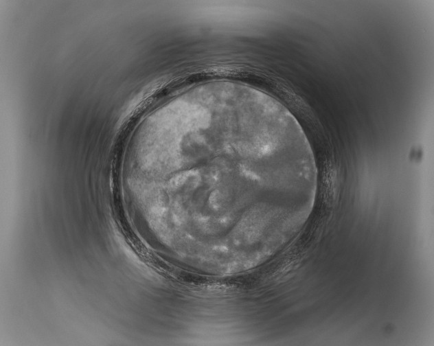 X0000115100734200911171240