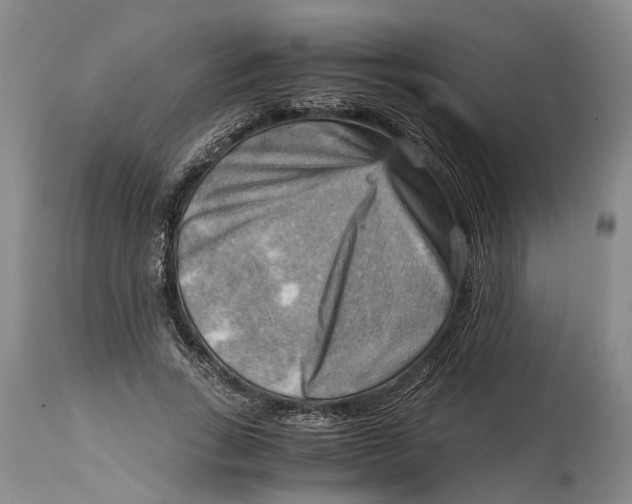 X0000115100735200911171240