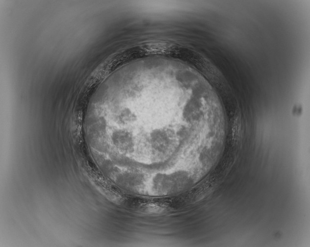 X0000115100737200911171240