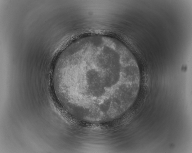 X0000115100738200911171240