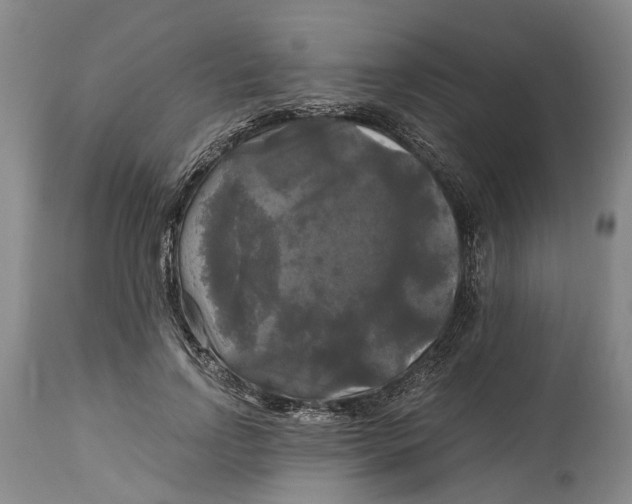 X0000115100742200911171240