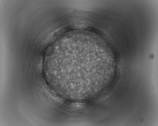 X0000115100745200911171240