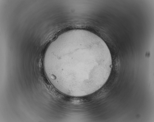 X0000115100746200911171240