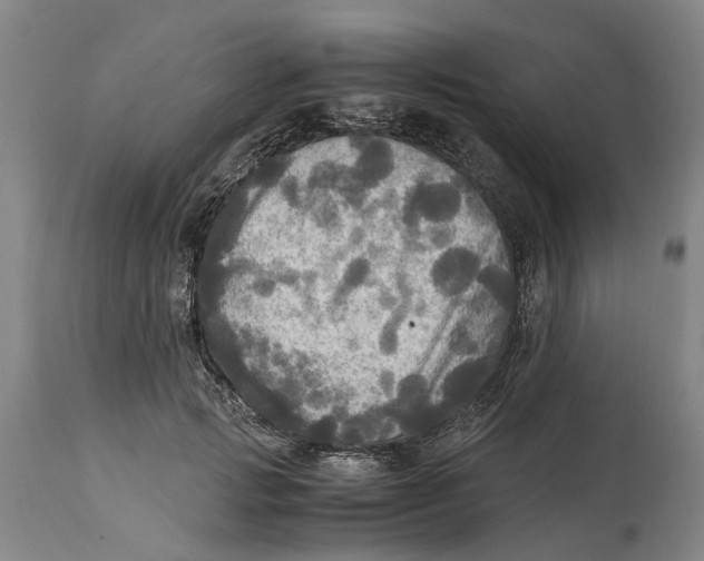 X0000115100749200911171240