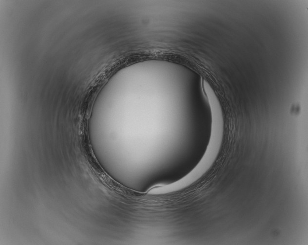 X0000115100750200911171240