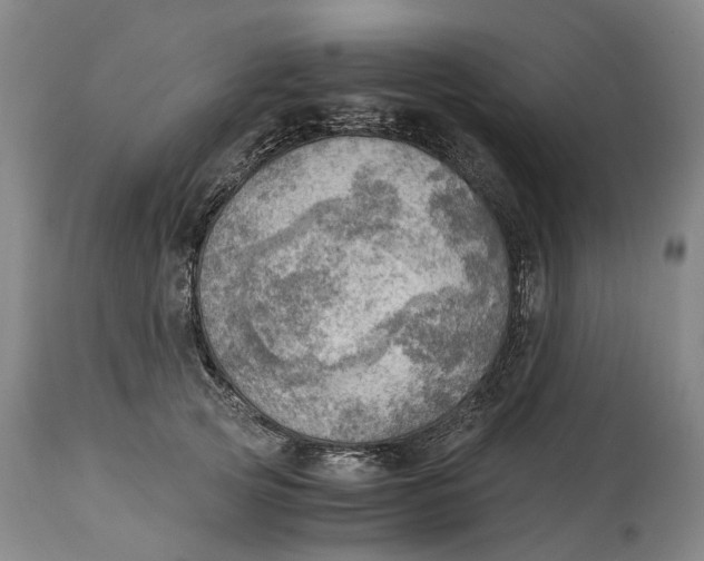 X0000115100753200911171240