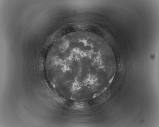 X0000115100757200911171240