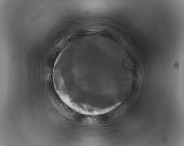 X0000115100758200911171240