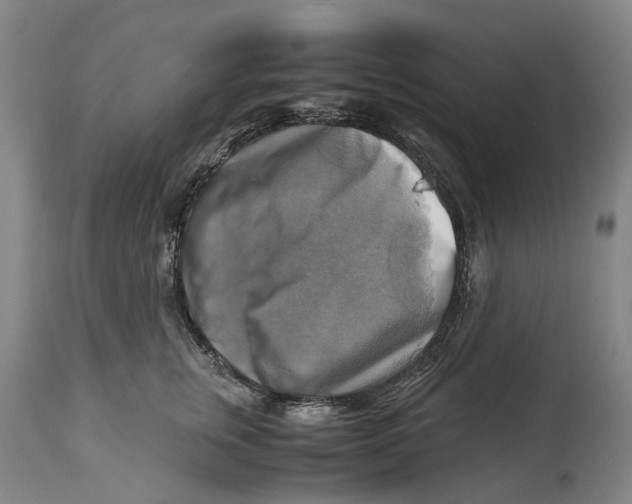 X0000115100759200911171240