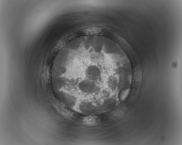 X0000115100761200911171240