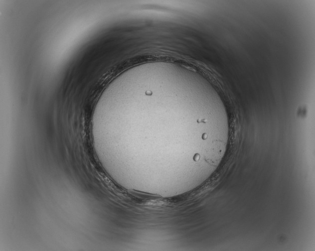 X0000115100762200911171240