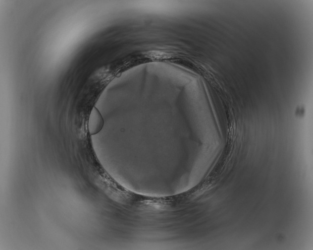 X0000115100763200911171240