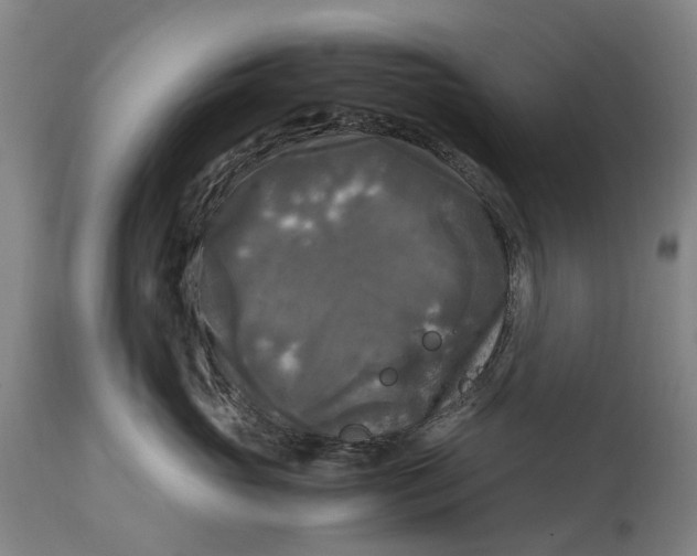 X0000115100765200911171240