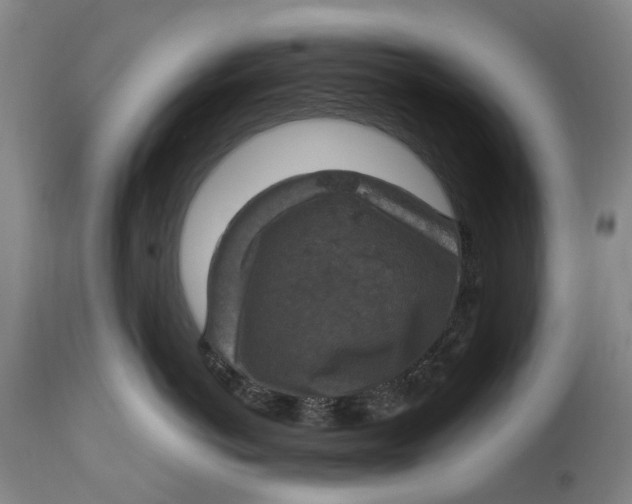 X0000115100766200911171240