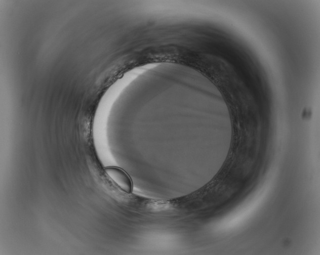 X0000115100767200911171240