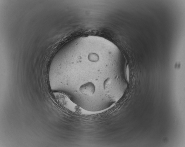 X0000115100769200911171239