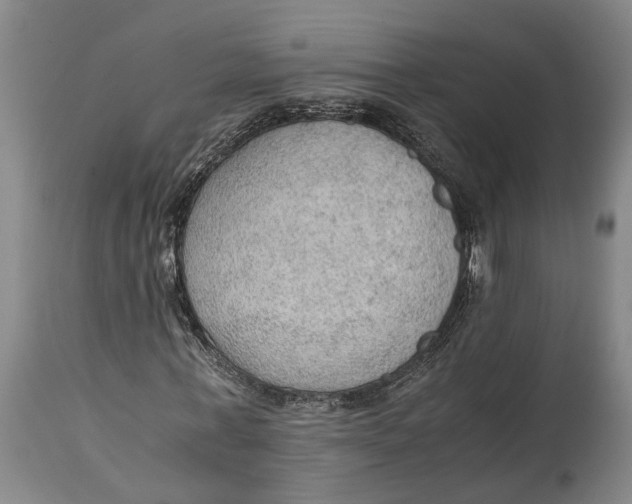 X0000115100771200911171239