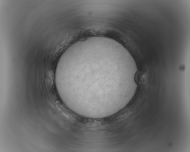 X0000115100772200911171239