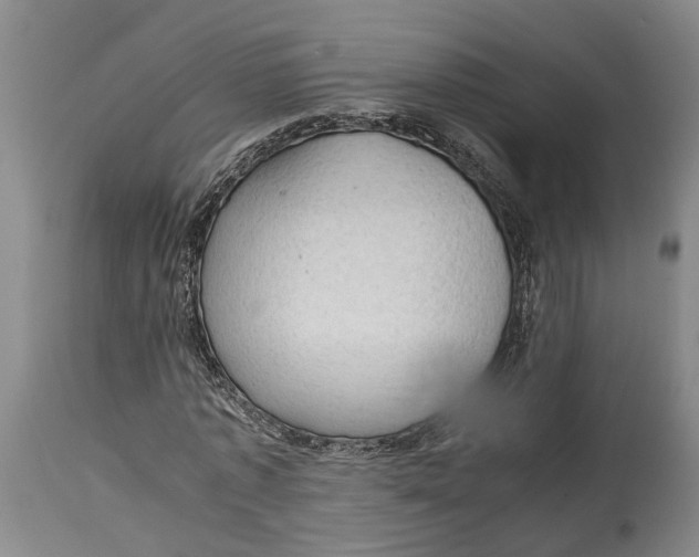 X0000115100773200911171239