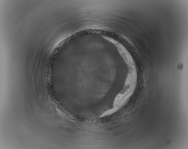 X0000115100775200911171239