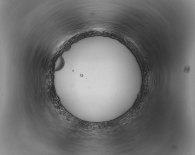 X0000115100776200911171239