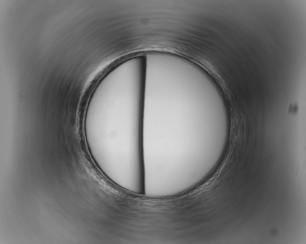 X0000115100780200911171239