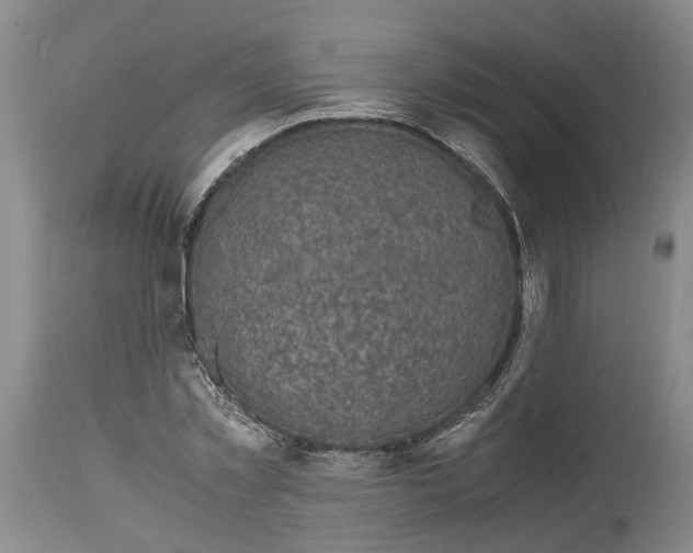 X0000115100781200911171239