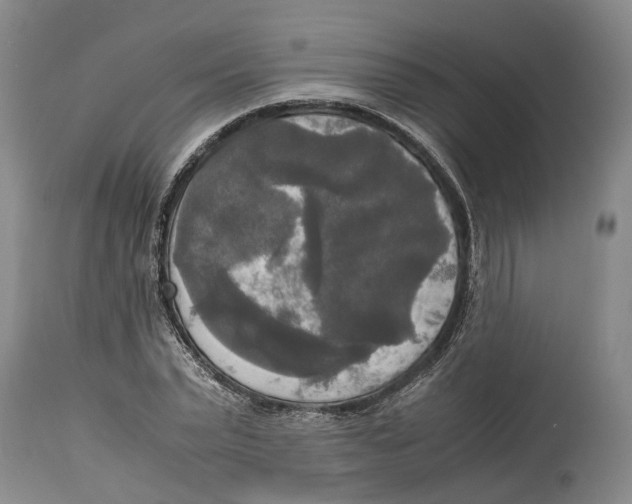 X0000115100783200911171239