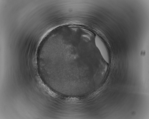 X0000115100784200911171239