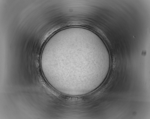 X0000115100786200911171239