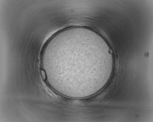 X0000115100787200911171239