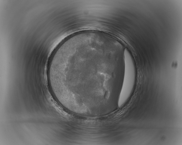 X0000115100788200911171239