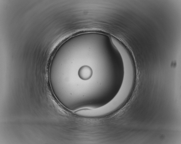 X0000115100789200911171239