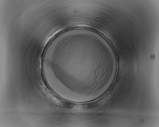 X0000115100790200911171239