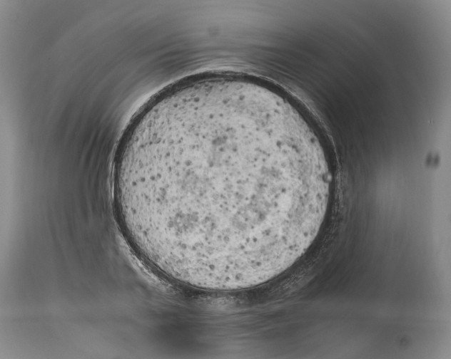 X0000115100791200911171239