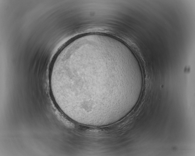 X0000115100792200911171239