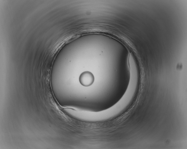 X0000115100793200911171239