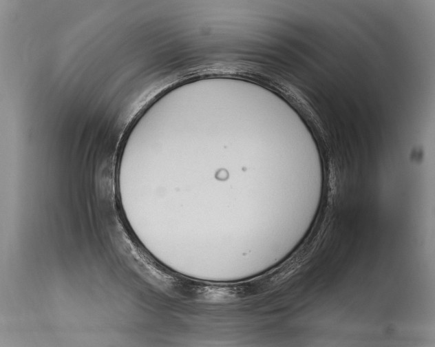 X0000115100794200911171239