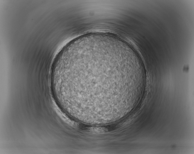 X0000115100795200911171239