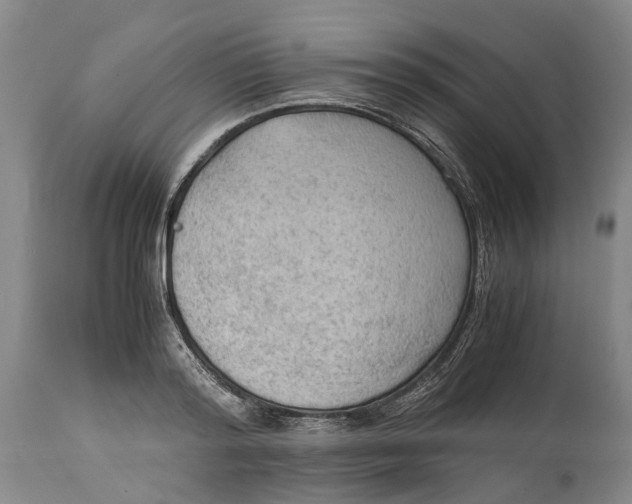 X0000115100796200911171239