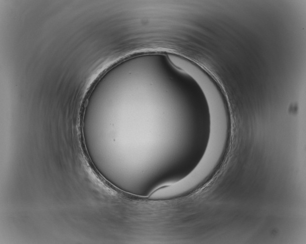 X0000115100797200911171239