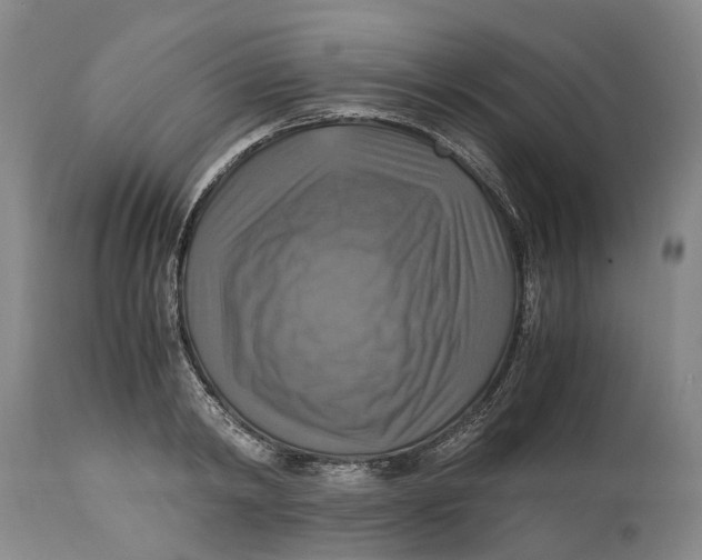 X0000115100798200911171239