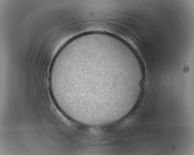 X0000115100799200911171239