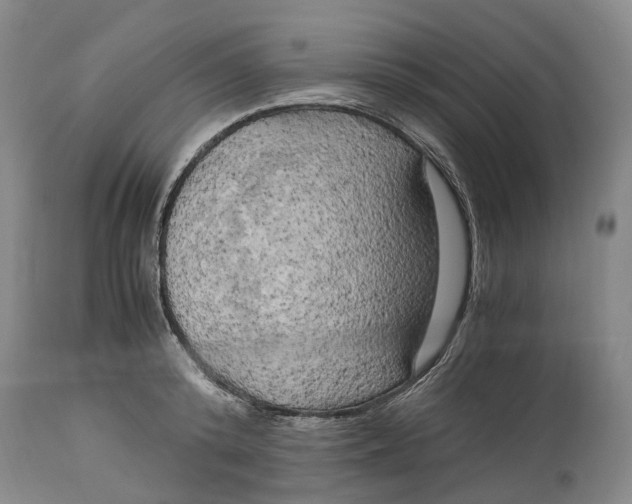 X0000115100800200911171239