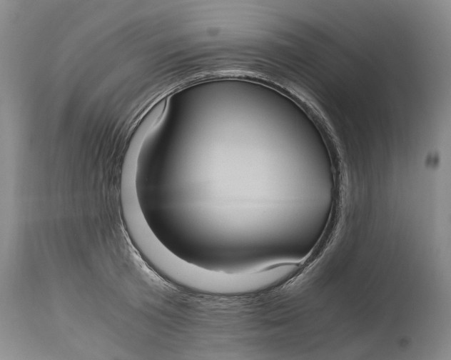 X0000115100801200911171239