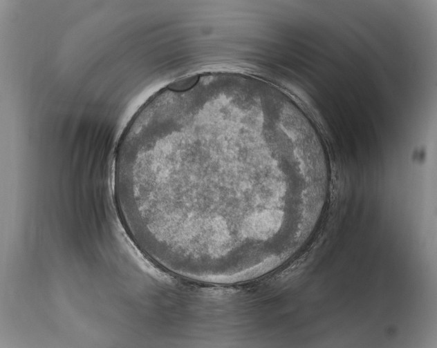 X0000115100804200911171239